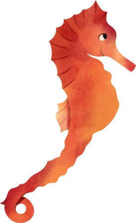Watercolor Seahorse